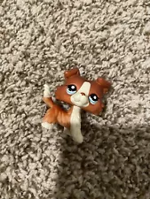 Lps Littlest Pet Shop Authentic Rare Collie Dog #1542 Used