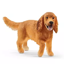 English Cocker Spaniel