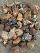 Rocks For Rock Garden Display Or Lapidary Purposes