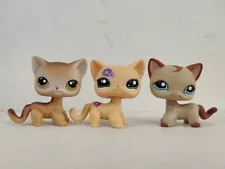 3pcs/lot Littlest Pet Shop short hair Cat #19#1962#1024 Animal Figures