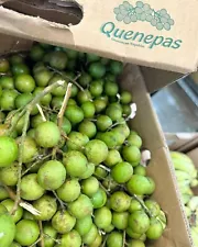 8Lbs Guinep/ Spanish Lime/ Mamoncillo/ Quenepas. Fresh Organic. Actual Fruits