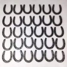 Lot Of 30 Horseshoes for Crafts and Decorations Cast Iron Metal Horseshoes 3"