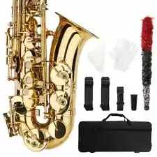 Professional Alto Eb Saxophone Sax Gold w/ Case Mouthpiece & Accessories