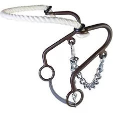 Westen at Rope Nose Little S Hackamore