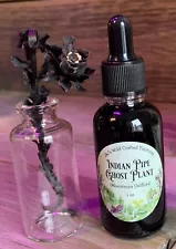 Indian Pipe Ghost Plant Tincture w/whole Flower In Bottle 1 oz Drops monotropa