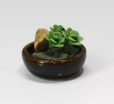 Dollhouse Miniature 1:12 Scale Succulent Dish Garden