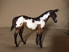 New ListingPeter Stone TIGER LILY Artisan Hall Bay Pinto Weanling 130/200 with Certificate