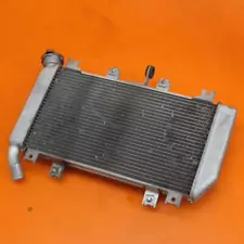 2018-2019 KAWASAKI NINJA 400 OEM STRAIGHT ENGINE RADIATOR MOTOR COOLER COOLING (For: 2019 Ninja 400)