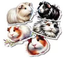 Guinea Pigs Vinyl Stickers 3" For Laptops, Cups, Etc. Indoor, Water Resistant