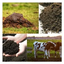 250g Agriculture Farming cow dung Manure Nutrient Rich Fertilizer Organic Flow