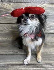 Vintage Homemade Small Dog Costume Valentines Hearts Red Pink