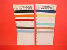 1959 DODGE PICKUP TRUCK SWEPTLINE POWER WAGON TOWN PANEL STAKE PAINT CHIPS SW