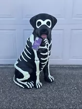 Black Lab Halloween Dog Blow Mold 2024 Home Depot 2.5 FT Glow in the Dark