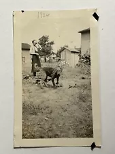 Woman Garden Airedale Terrier Dog Antique Photograph