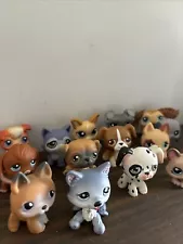 Hasbro LPS Littlest Pet Shop LOT OF 16 RARE DOGS (good deal each are worth 15$)