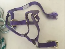 Horse Harness. VIA L162. Purple. Size Small 500-800 Pounds. Plus Lead Rope.