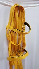 Authentic ARABIAN Horse COLLAR HALTER & LEAD SADDLE TACK Agyptian