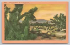 Joshua Trees on the Desert Linen Postcard No 6109