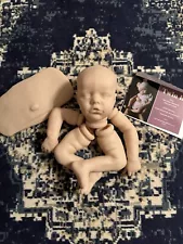 TWIN B 17” DoLL KiT By Bonnie Brown REBORN DOLL SUPPLIES