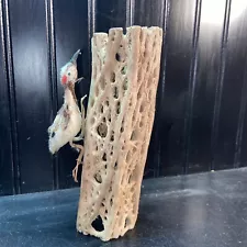 Vtg Small Downy Woodpecker Taxidermy Cabin Lodge Decor Needs TLC