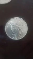 Silver Peace Dollor 1922 super Nice