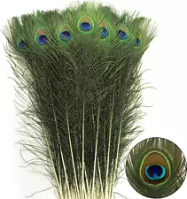 New Listing24Pcs Peacock Feathers Long Natural in Bulk 25-30 Inch 60-70 Cm for Craft Vase W