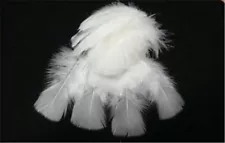 White Turkey T-Base Plumage Feathers Bridal Corsage Bouquet Decor DIY 20 Pc