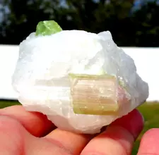 Watermelon Tourmaline Pink & Green in Clear Quartz Rock Matrix Crystal For Sale