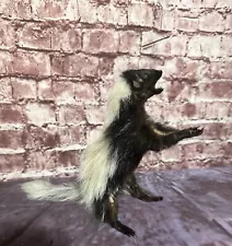 Heavy Fur Standin Baby Skunk Mount Real Cabin Decor Squirrel Stuffed Taxidermy