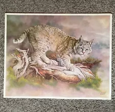 Vintage Bobcat Print By Norte Signed Limited Edition Unframed 23 x 29