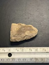 ST group 100% Authentic Archaic Indian Petrified Wood Tool The Wolf Fam. Coll.