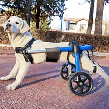 Used Dog Wheelchair For Back Legs, Small, Medium And Large Wheelchairs For Dogs