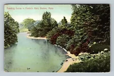 Boston, Scenic Franklin Park Lake, Feeding Ducks, Massachusetts Vintage Postcard