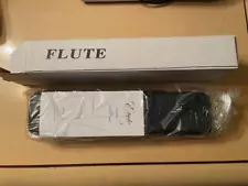 Etude Model EFL-100 Student Flute Closed