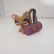 Littlest Pet Shop LPS AuthenticBROWN SHORTHAIR WHITE BANGS BLUE EYED Cat #1170