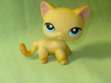 LPS Littlest Pet Shop SHORTHAIR CAT #339 Yellow Kitty Brooke Big Blue Eyes