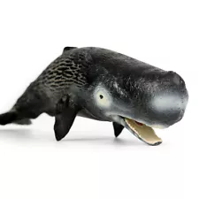 Action Figure Model Toy Sperm Whale Realistic Ocean Educational Toys for Kids