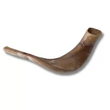 Kosher Polished Ram's Horn Shofar from Israel Jerusalem 10″- 12″/ 25 cm - 30 cm