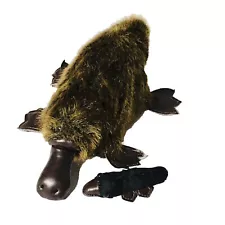 Duckbill Platypus 12” With Baby (Hidden Pocket For Baby) Plush