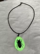 Glow-in-the-dark Lucite Real scarab beetle pendant necklace. Great For Halloween