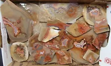 16 Ounces (1 Pound) TeePee Canyon Agate Slabs Black Hills Tumble or Cab