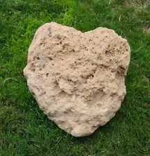 XXL Pumice Stone Volcanic Rock