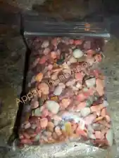 Decorative Gravel for Succulents, Fairy Gardens Pathways, Terrariums 1/2 cup