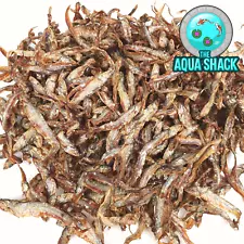 Large 8-10cm Dried Whole Fish Whitebait Sprats Natural Food for Turtle Terrapin