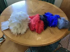 ostrich feathers