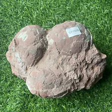 3 pieces Natural dinosaur egg fossils from Henan Province , China 6.2kg LB13.6