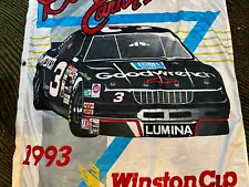 Large Dale Earnhardt GM Chevrolet Chevy Lumina Winston Cup Champion NASCAR Flag