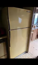 Vintage GE 1975 Refrigerator