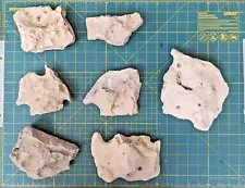 13# LOT - TEXAS NATURAL LIMESTONE HOLEY ROCK AQUARIUM TERRARIUM ROCKS GARDEN