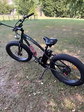 Ecotric Electric Bike 1000w Fat 4” All Terrain Tires